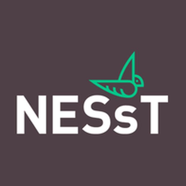 Nesst Logo final